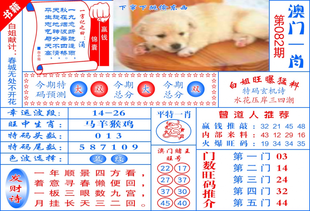 082期澳门东北虎[图]